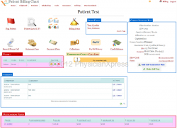 Patient Billing Chart